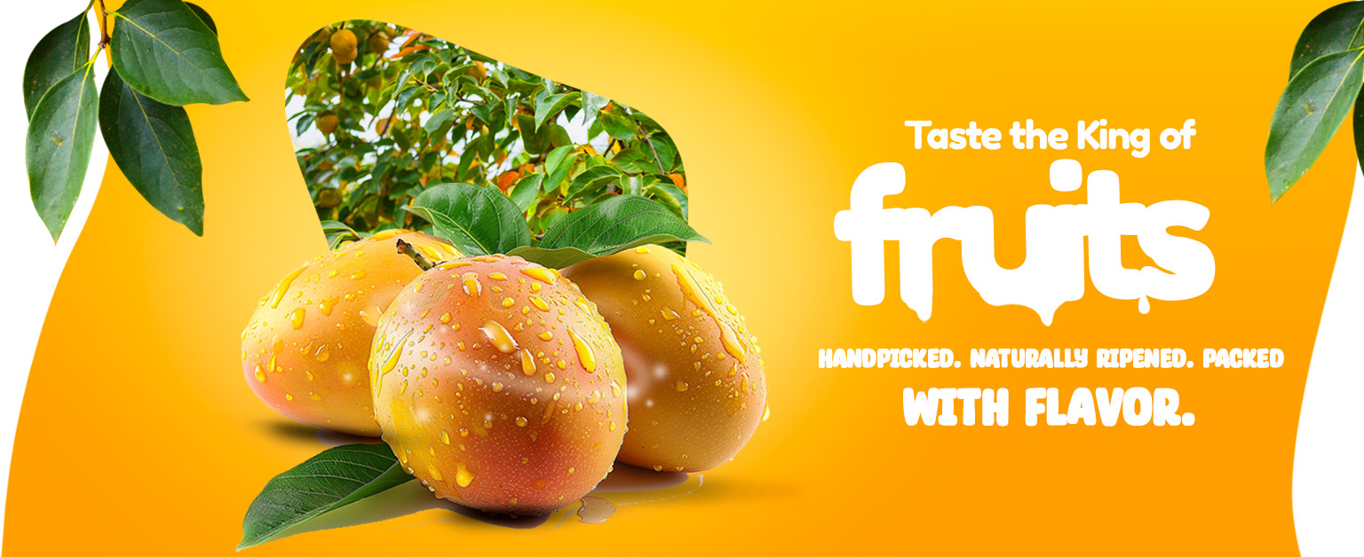 WhatsApp Image 2025-10-21 at 2.01.01 PM